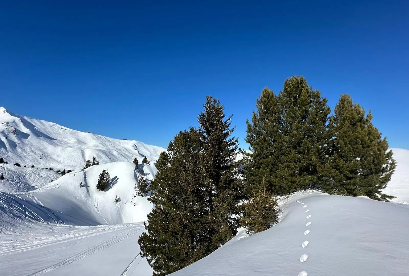 Appartement - La Plagne - Les Coches - 7 Personnes - Pieds Des Pistes Apartment